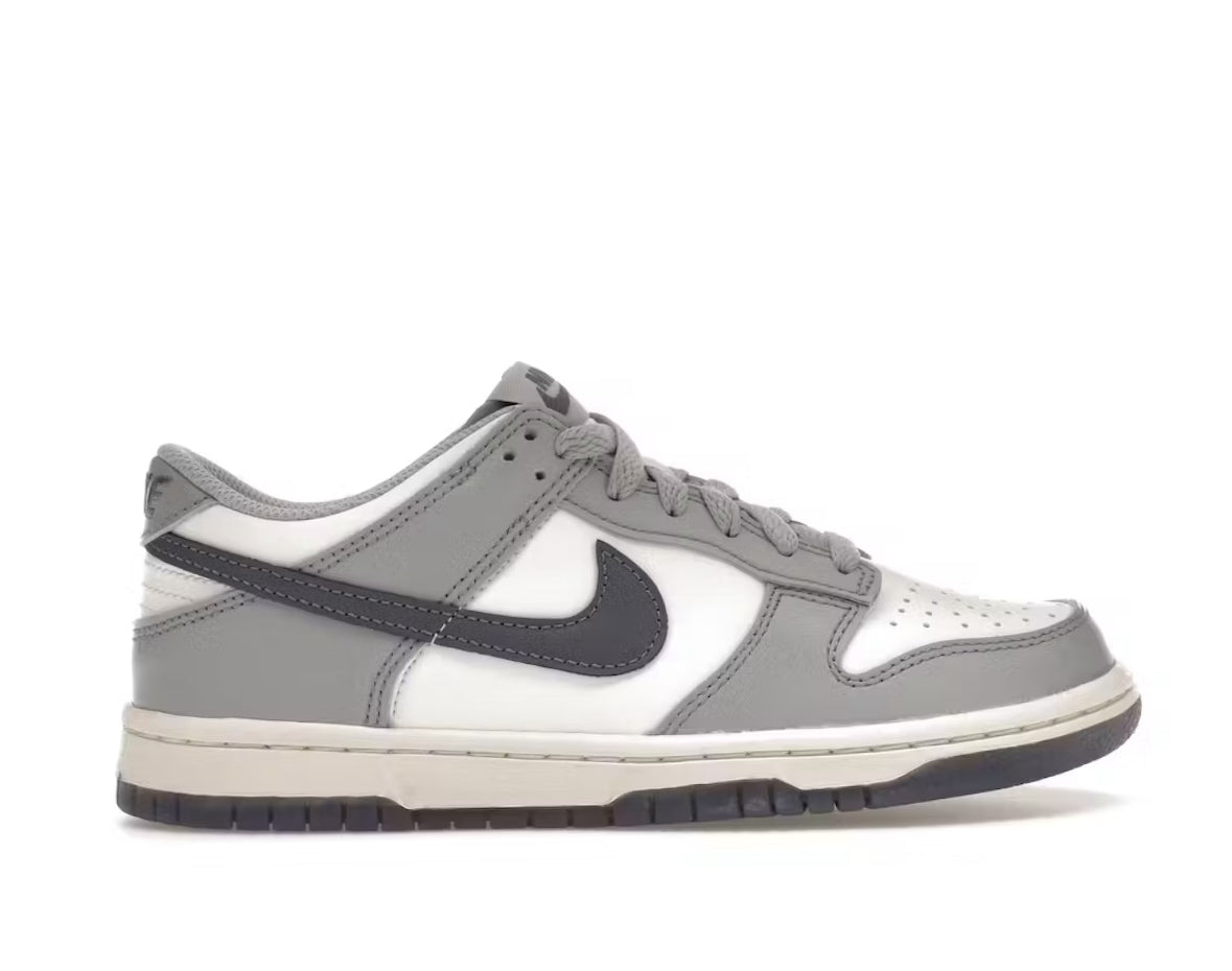 Nike Dunk Low Platinum Light Carbon (GS)