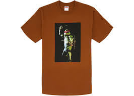 Supreme Raphael Tee Brown