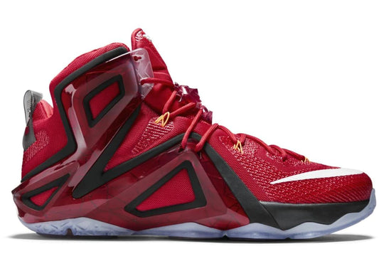 Nike LeBron 12 Elite Team